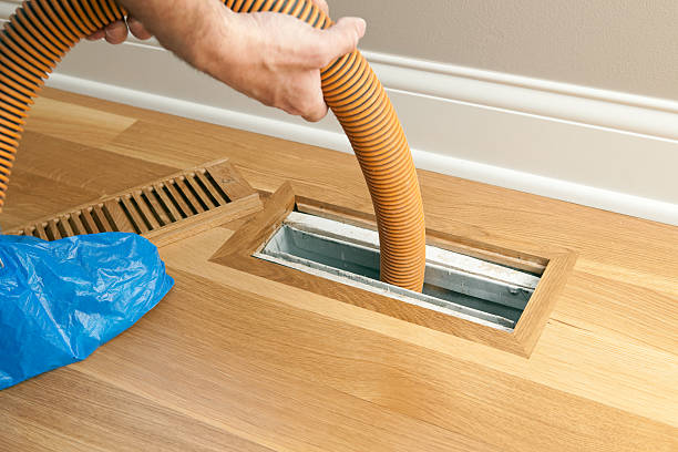 Best Professional Duct Cleaning Services  in South Daytona, FL