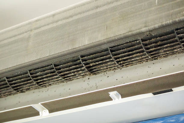 Best Dryer Vent Cleaning Services  in South Daytona, FL