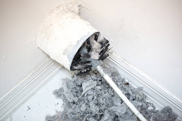 Best Ductwork Cleaning Services  in South Daytona, FL